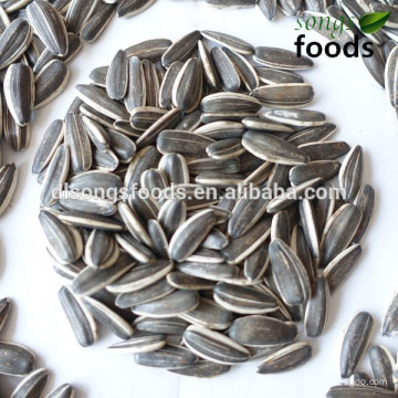 seeking business partners of the sunflower seeds